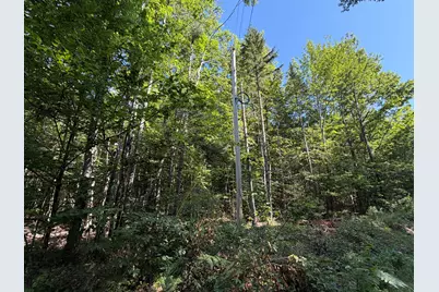 Map 9 Lot 16-10 Clark Richardson Road, Garland, ME 04939 - Photo 2