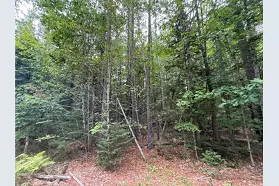 M 13 L 36 Prescott Road, Washington, ME 04574 - Photo 2