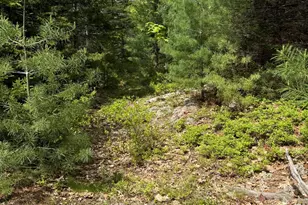 63 Sebasco Rd, Phippsburg, ME 04562 - Photo 20