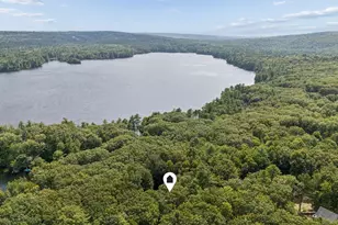 42 Cleve Tripp Rd, Poland, ME 04274 - Photo 52