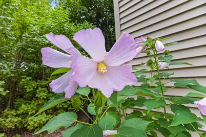 276 Pine Street, South Portland, ME 04106 - Photo 32