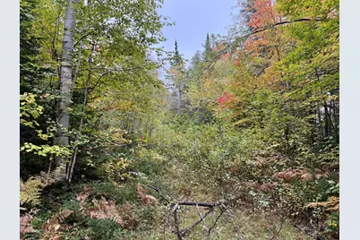 5 Greenleaf Road, Abbot, ME 04406 - Photo 6