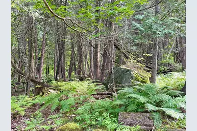 R10-067 Town Farm Road, Farmington, ME 04938 - Photo 6