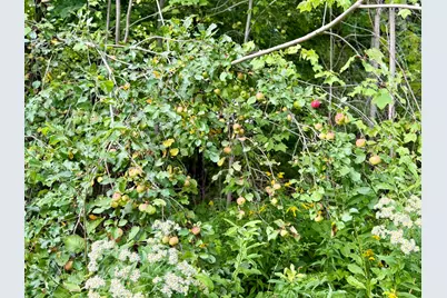 R10-067 Town Farm Road, Farmington, ME 04938 - Photo 16