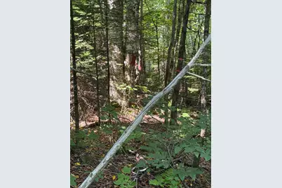 454 Brighton Road, Bingham, ME 04920 - Photo 8
