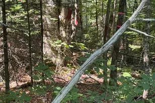 454 Brighton Rd, Bingham, ME 04920 - Photo 8