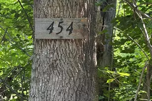 454 Brighton Rd, Bingham, ME 04920 - Photo 2