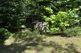 454 Brighton Rd, Bingham, ME 04920 - Photo 10
