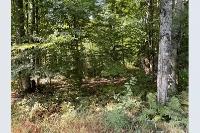 Map 7 Lot 10-2 Bailey Hill Road, Cambridge, ME 04923 - Photo 6