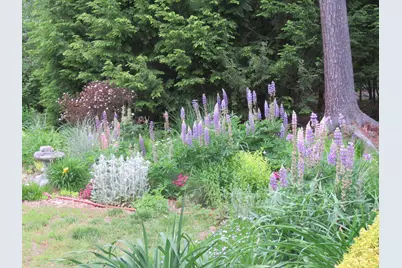 27 Reservoir Hill, Parsonsfield, ME 04047 - Photo 8
