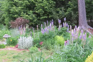 27 Reservoir Hill, Parsonsfield, ME 04047 - Photo 8
