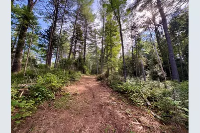 P/Om2L2-2 Potter Brook Road, Winn, ME 04495 - Photo 8