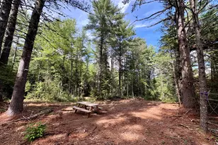 P/Om2L2-2 Potter Brook Rd, Winn, ME 04495 - Photo 1