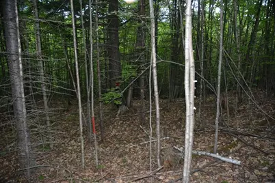 115 Burns Road, Moscow, ME 04920 - Photo 16
