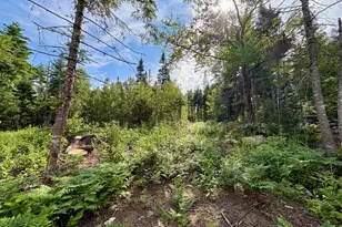 Eastm2L2-2 Potter Brook Rd, Winn, ME 04495 - Photo 24