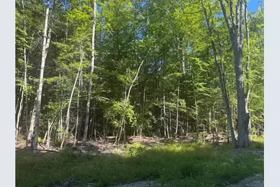 Lot 7 Alice Drive, Limerick, ME 04048 - Photo 1