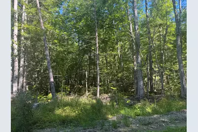 Lot 7 Alice Drive, Limerick, ME 04048 - Photo 4