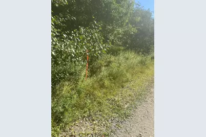 Map3 Lot2 Railroad Street, Harrington, ME 04643 - Photo 2