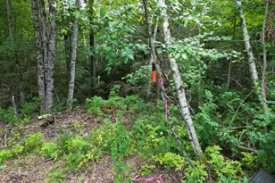 11 Clifford Ln, Lincoln, ME 04457 - Photo 16