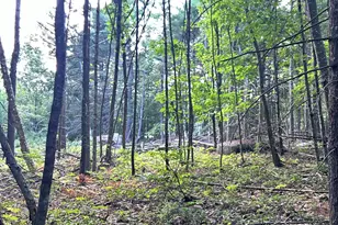 0 Blackberry Ln, Biddeford, ME 04005 - Photo 1