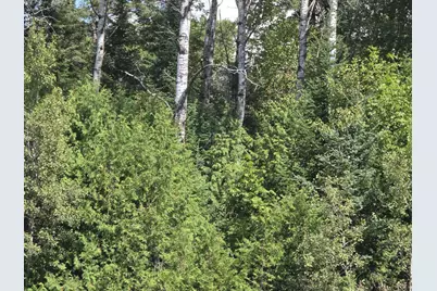 M6L10 New Sweden Road, Stockholm, ME 04783 - Photo 2