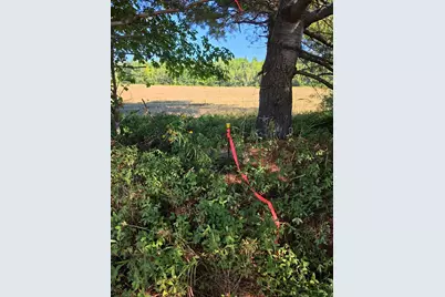 Lot 2 Cobb Road, Lee, ME 04455 - Photo 18