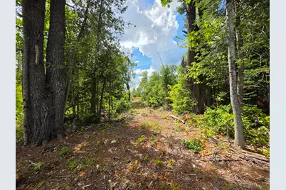Lot 12 Meadow Lane Road, Lee, ME 04455 - Photo 12