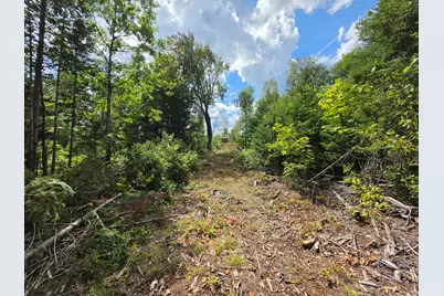 Lot 12 Meadow Lane Road, Lee, ME 04455 - Photo 14