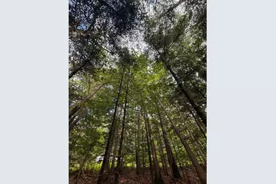 001 Harmony Road, Athens, ME 04912 - Photo 24