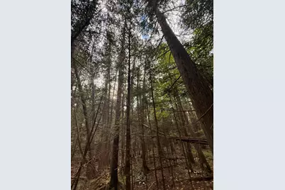 001 Harmony Road, Athens, ME 04912 - Photo 26