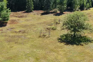 71 Birch Rd, Limington, ME 04961 - Photo 90