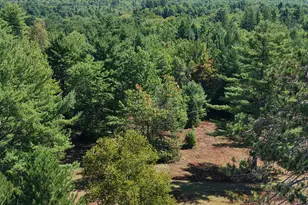 71 Birch Rd, Limington, ME 04961 - Photo 84