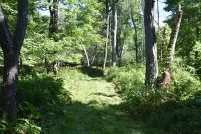 71 Birch Road, Limington, ME 04961 - Photo 64