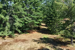71 Birch Rd, Limington, ME 04961 - Photo 94
