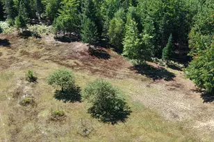 71 Birch Rd, Limington, ME 04961 - Photo 88