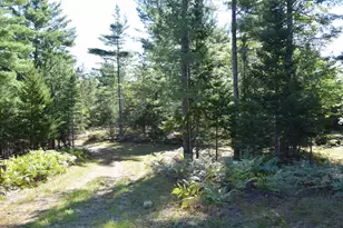 71 Birch Rd, Limington, ME 04961 - Photo 58