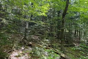 M6L36 Timberland Rd, Dixfield, ME 04224 - Photo 24