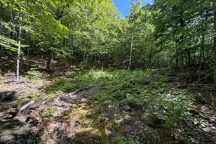 M6L36 Timberland Rd, Dixfield, ME 04224 - Photo 22