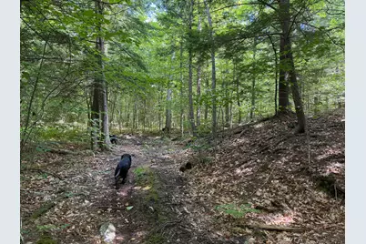 M6L36 Timberland Road, Dixfield, ME 04224 - Photo 16