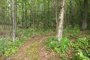 550 Bog Rd, Vassalboro, ME 04989 - Photo 14