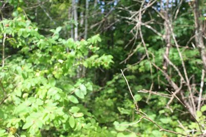 623 River Road, Oakfield, ME 04763 - Photo 2