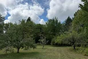 293 Yellow Birch Rd, Whiting, ME 04691 - Photo 88