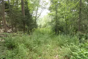 76-A Kenney Rd, Bucksport, ME 04416 - Photo 28