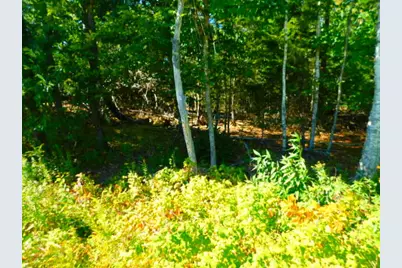 291 Copeland Hill Road, Holden, ME 04429 - Photo 4