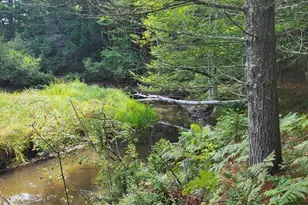21 Andrews Rd, Woodstock, ME 04219 - Photo 46