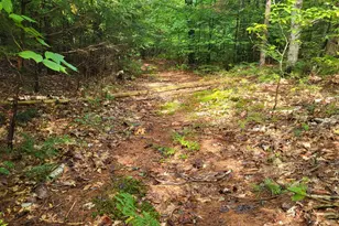 21 Andrews Rd, Woodstock, ME 04219 - Photo 44
