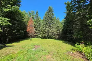 Lot 13 1 Route 6, Kossuth Twp, ME 04490 - Photo 32