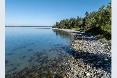 14 Winchester Drive, Cutler, ME 04626 - Photo 4