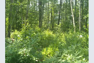 Lot #1 Harry Howes Road, Sanford, ME 04073 - Photo 2
