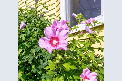 691 Washington Avenue, Portland, ME 04103 - Photo 48